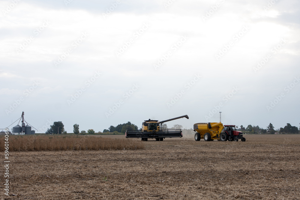 Obraz premium Trilladora cosechando soja y camión recolector, campo argentino, trabajo