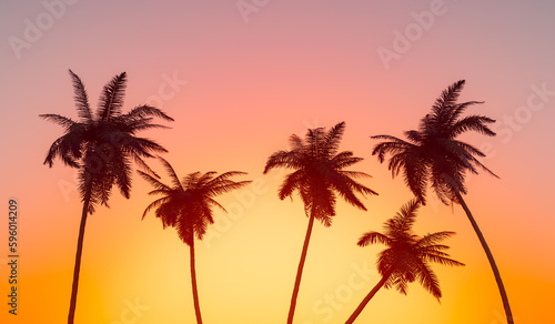 Silhouettes of tall palms under cloudless sundown sky