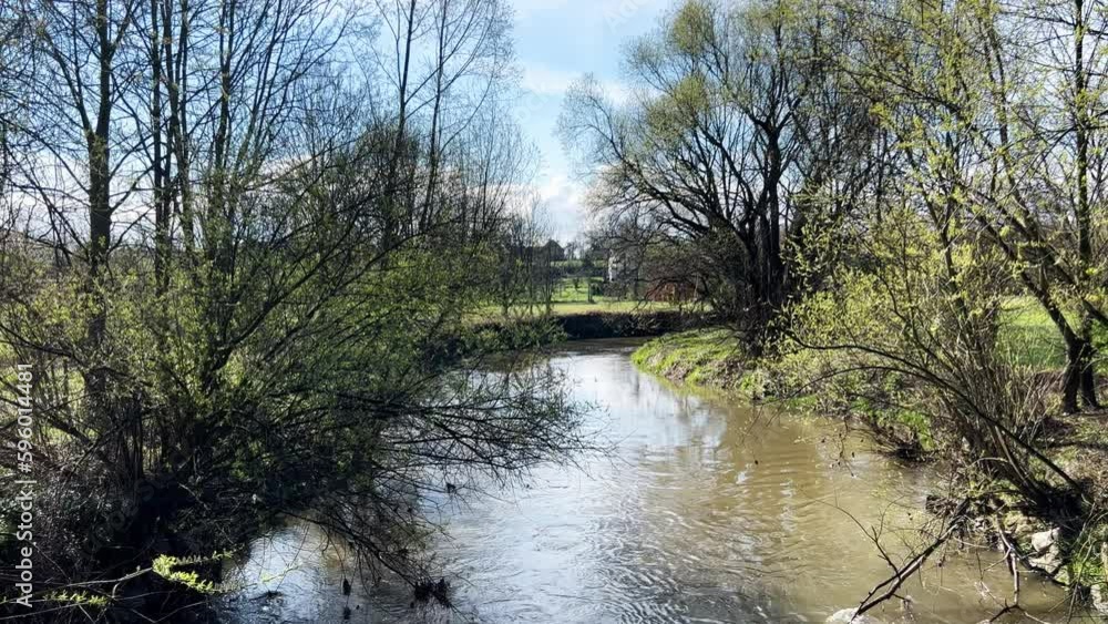 Slowly flowing rivulet during spring sunny day Slowly flowing rivulet during spring sunny day