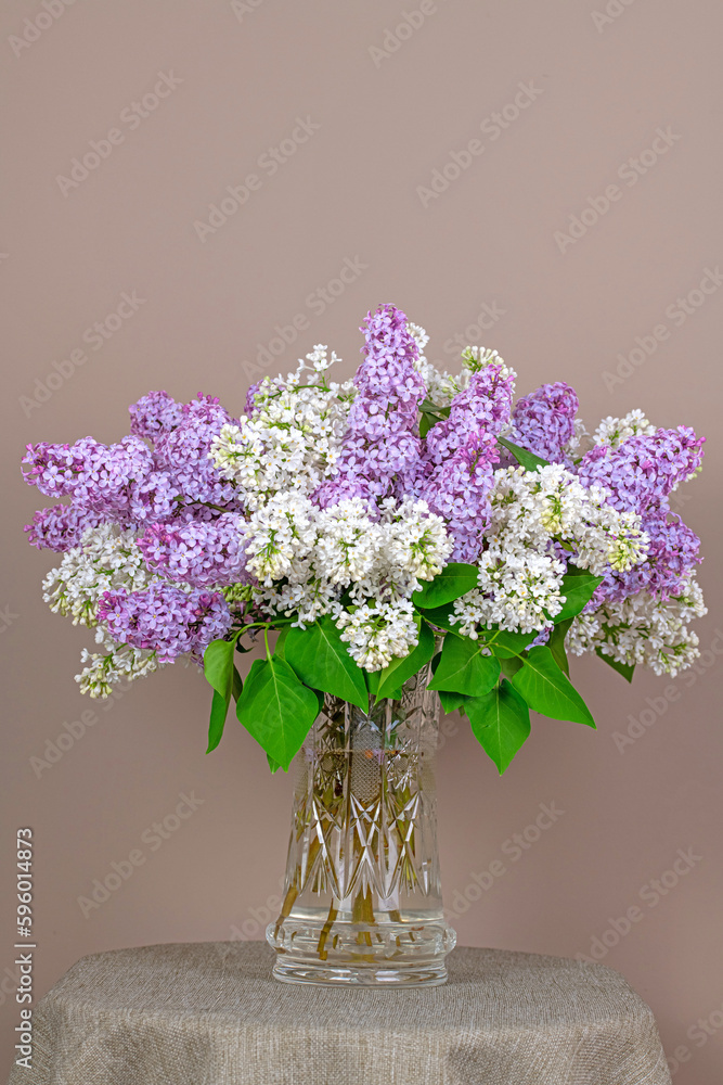 Violet and white lilacs in vase Violet and white lilacs in vase