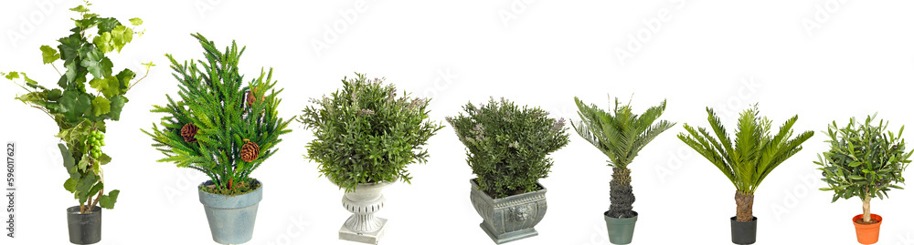 artificial plant in a pot with transparent png background