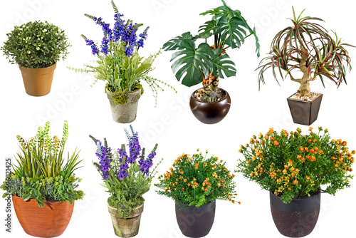 Artificial plant in Pot with transparent png background