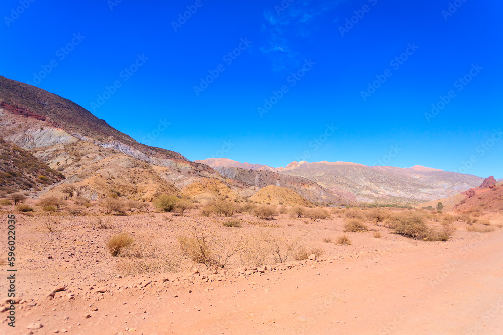 Bolivian canyon near Tupiza,Bolivia