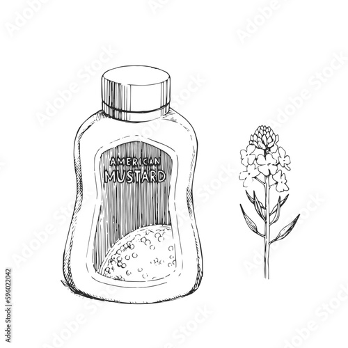 Vector hand-drawn botanical sketch of mustard and plastic bottle with sauce.