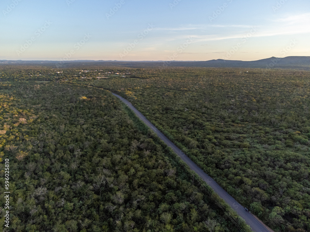small highway in the middle of the caatinga forest in the hinterland of the northeast small highway in the middle of the caatinga forest in the hinterland of the northeast