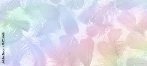 Beautiful delicate rainbow coloured fluffy feather background - randomly scattered small wispy soft feathers in pastel  tones ideal for a spiritual invitation, gift voucher, certificate, award, advert
