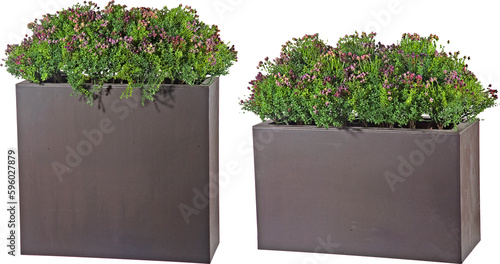 Artificial plant in flowerpot with transparent png background