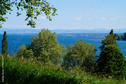 a beautiful green meadow and lush green trees on Flower Island Mainau with lake Constance (also called Bodensee) and the Alps in the background (Germany)