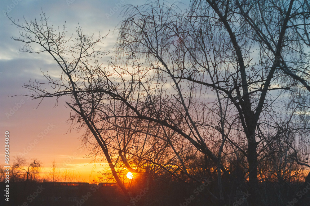 Fototapeta premium Beautiful morning dawn in spring. Fantastic dawn of the spring sun. Red shades and black silhouettes of trees.