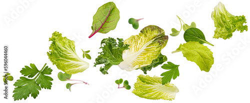 Falling salad leaves isolated on white background photo