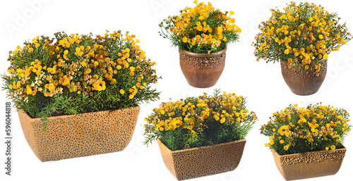 Artificial plants with yellow flowers in Pot with transparent png background
