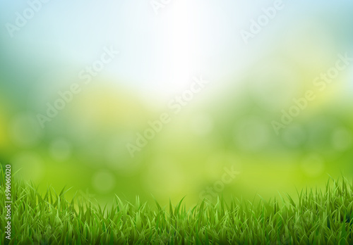 Nature Landscape With Grass Border