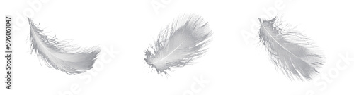 white feather of a goose on a black background photo