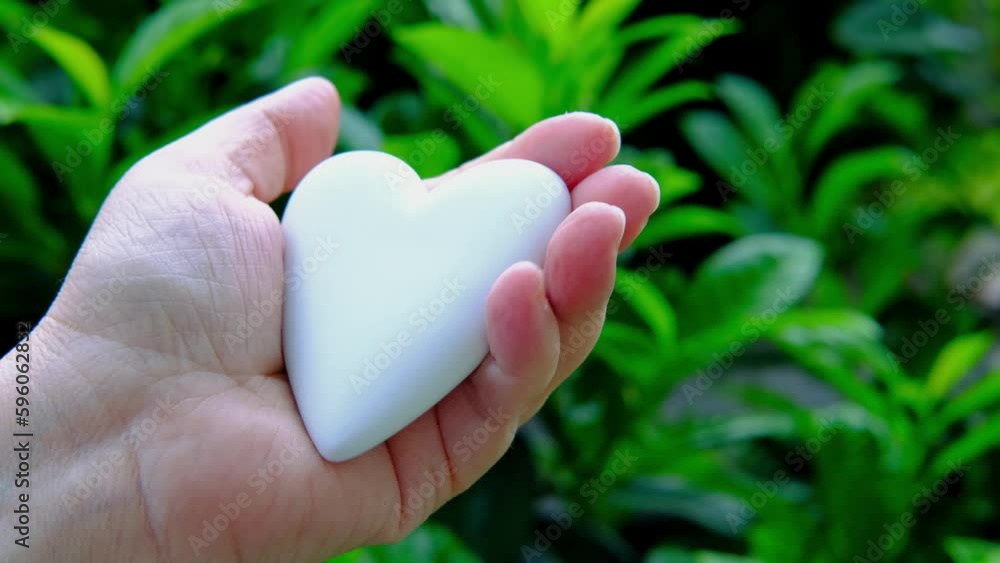 close-up female hands holding white heart model, natural green foliage background, Valentine's Day, concept health, cardiology, day medic, Healthy lifestyle, self love and body care close-up female hands holding white heart model, natural green foliage background, Valentine's Day, concept health, cardiology, day medic, Healthy lifestyle, self love and body care