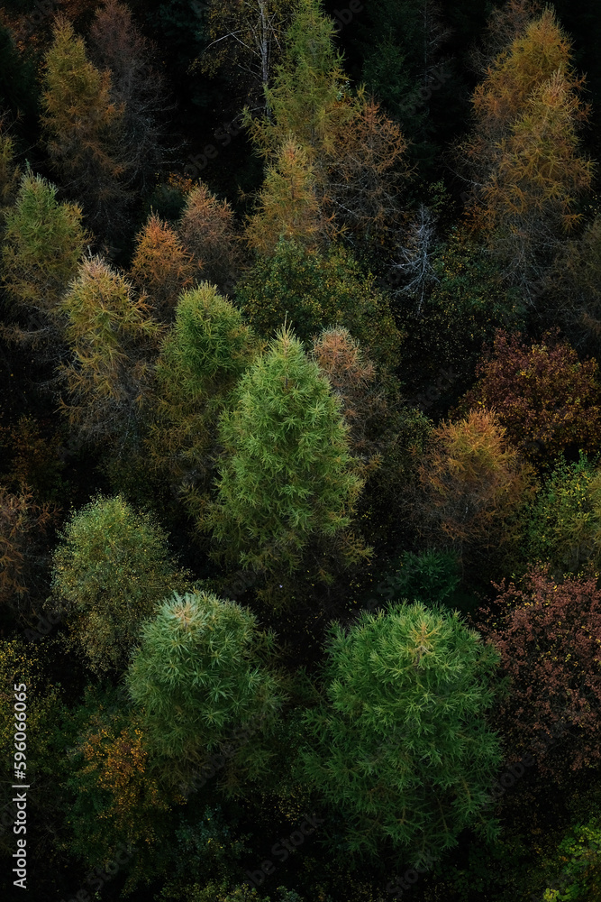 Fototapeta premium Above