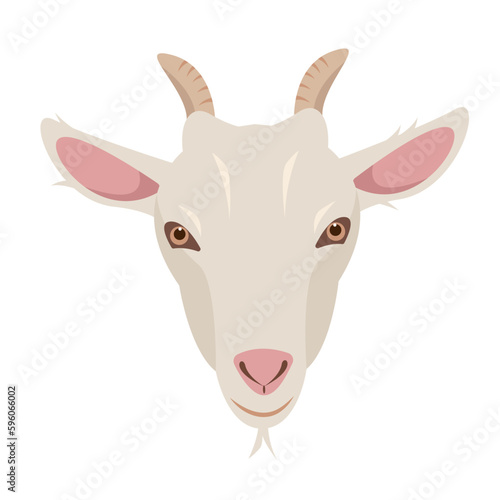 Female Goat face isolated on white background. Domestic goat Farm animal head. Vector flat or cartoon illustration.