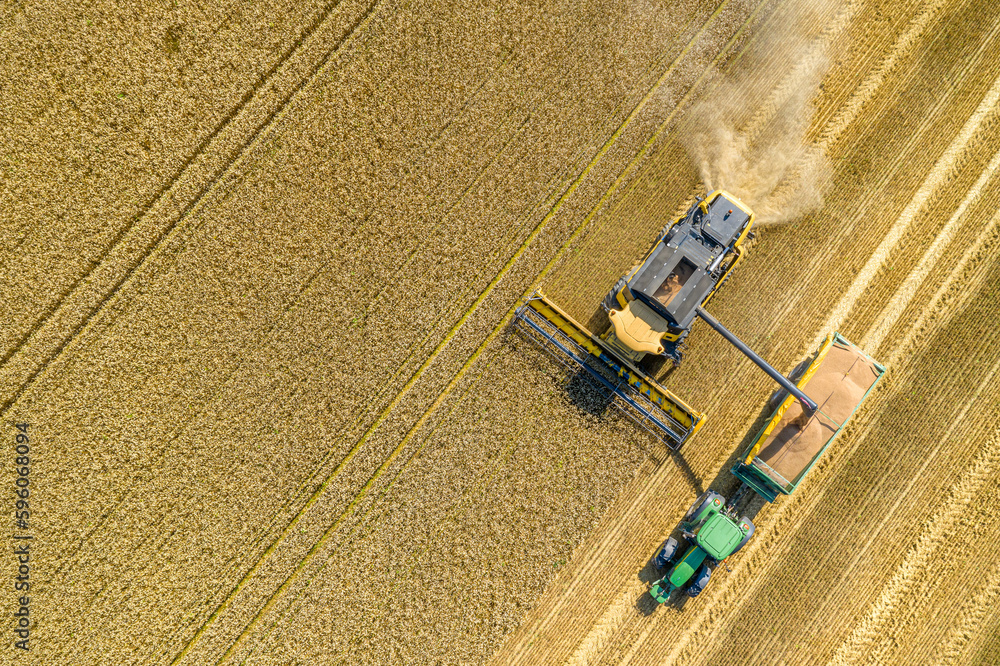 Combine harvester working on a wheat crop, aerial view