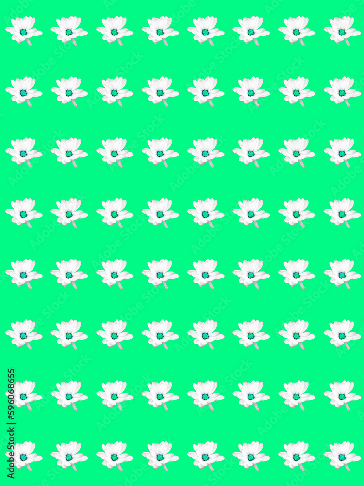 seamless background with flowers seamless background with flowers