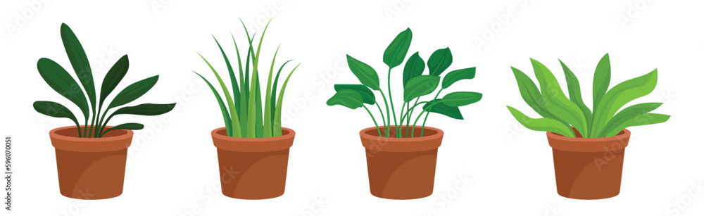 Flowers and Plants Growing in Ceramic Pots Vector Set - obrazy, fototapety, plakaty 