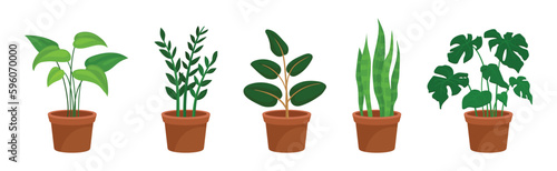 Flowers and Plants Growing in Ceramic Pots Vector Set
