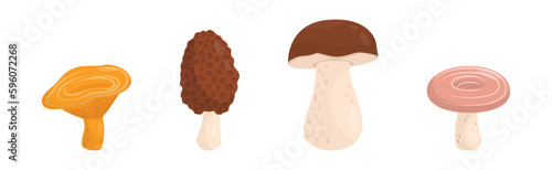 Forest Mushroom with Stem and Cap Isolated on White Background Vector Set