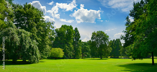 Beautiful meadow with green grass in public park.