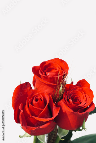 Bouquet of red roses with herringbone with white wall and space for text. Sant Jordi s Day  a popular festival in Catalonia.