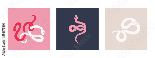 Set of graphic elements of cute twisted colorful snakes. Multi-colored serpents on contrasting backgrounds. Vector isolated illustration for design.