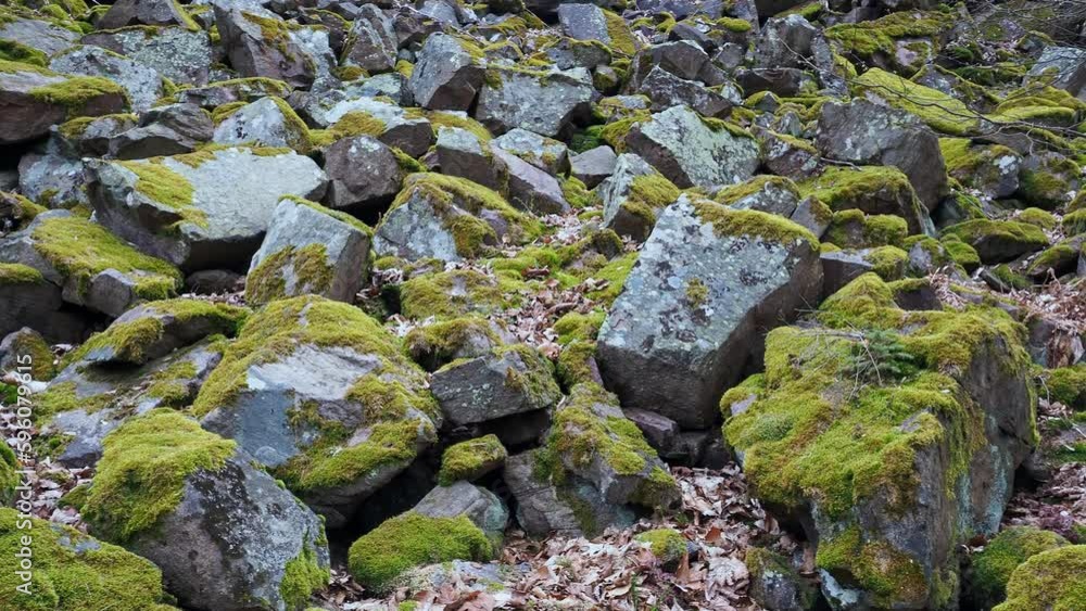 Pile of stones covered with moss Pile of stones covered with moss