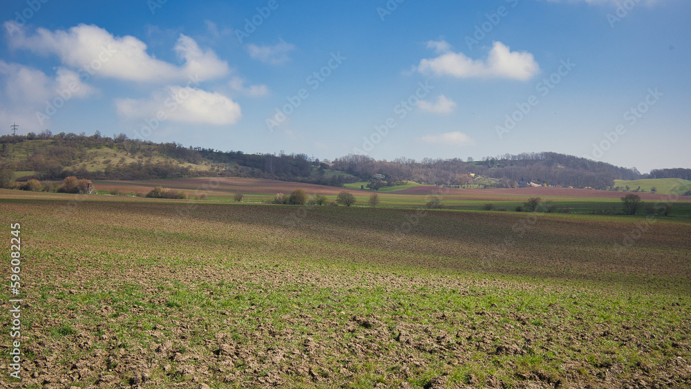 Landschaft, Feld am Thüringer Mühlenradweg bei Löberschütz, Thüringen, Deutschland Landschaft, Feld am Thüringer Mühlenradweg bei Löberschütz, Thüringen, Deutschland