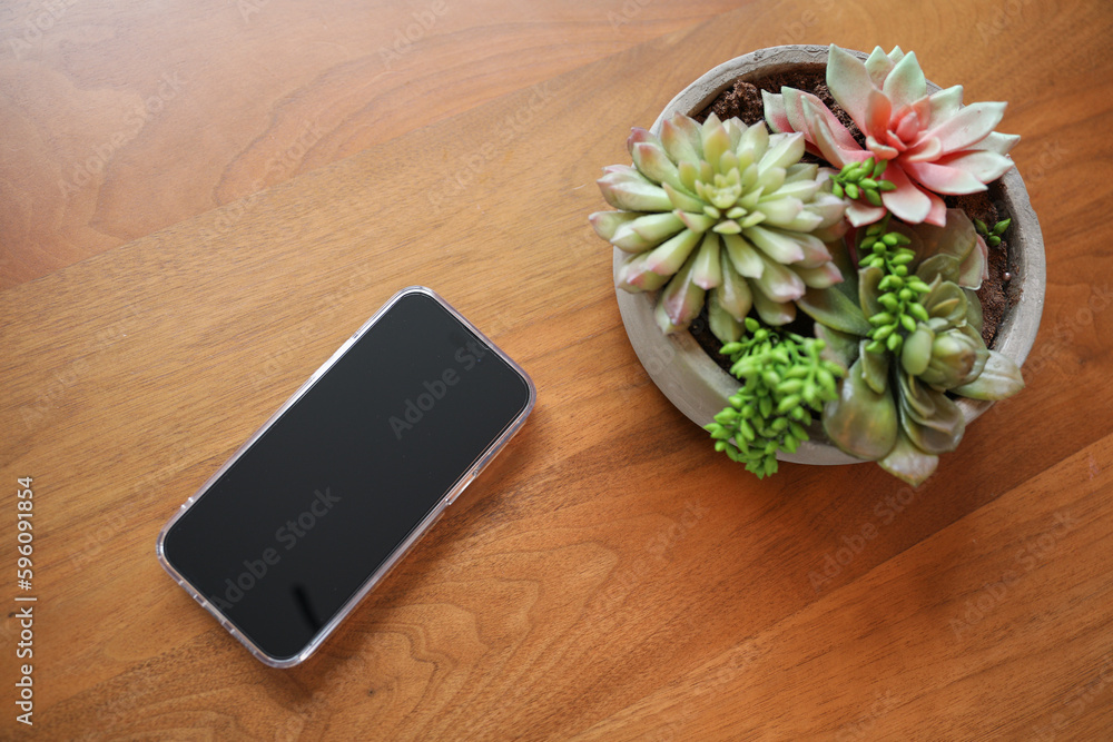 An empty black phone screen mockup symbolizes the potential for