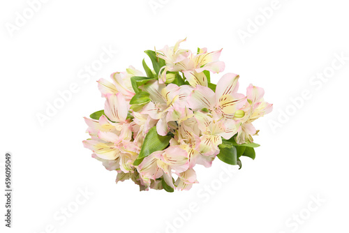 白背景のアルストロメリアの花束