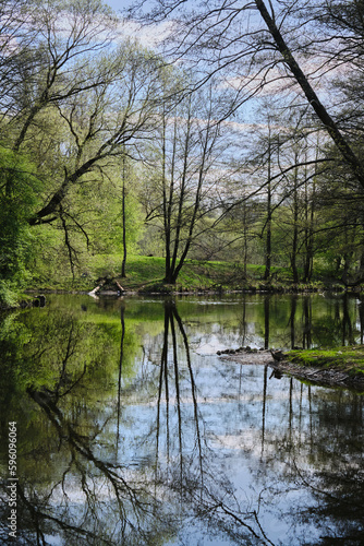 A beautiful lake with the reflection of trees in a summer forest 