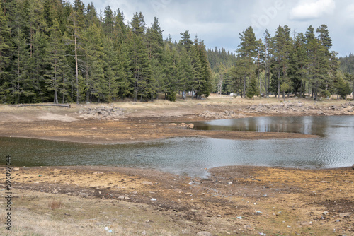 Spring view of Shiroka polyana (Wide meadow) Reservoir, Bulgaria