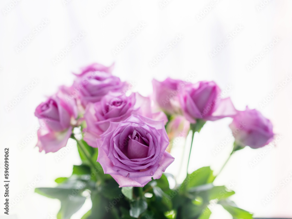 Bouquet of pink roses by a window. Light and airy look. selective focus. Expression of love concept. Bouquet of pink roses by a window. Light and airy look. selective focus. Expression of love concept.