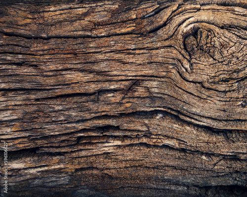 Old wood texture. The texture of an old tree with deep wrinkles and a trail of shading. Aging and persistence concept. Background. Close up.