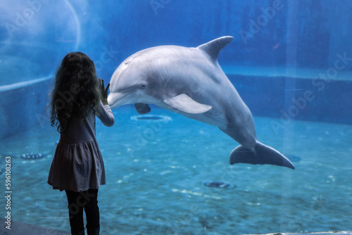 Bambini felici giocano con i delfini durante una visita all' Acquario di Genova, Liguria, Italia, Europa photo