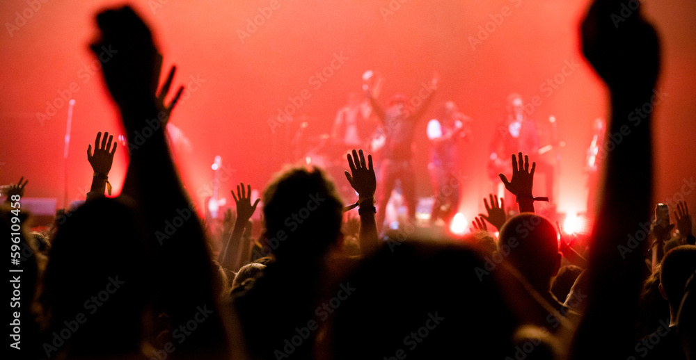crowd at concert - summer music festival crowd at concert - summer music festival