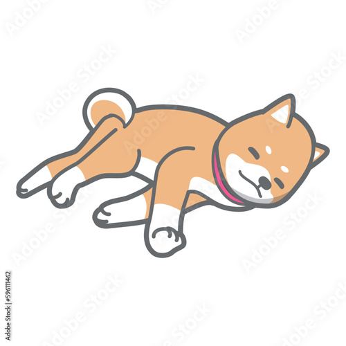 お昼寝中の柴犬のベクターイラスト