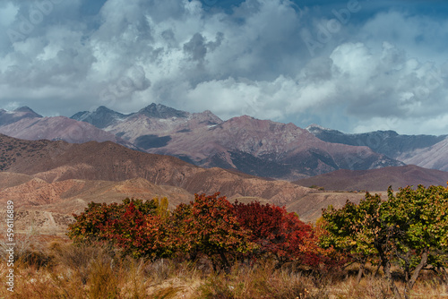 Autumn landscape with trees on mountains background, Kyrgyzstan