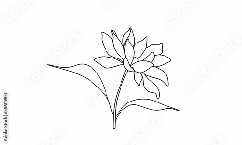 Lotus flower line art. Or by another name Nymphaea. Simple line art. Isolated white background