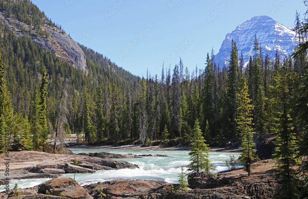 Mt Stephen and Kicking Horse River - Kootenay National Park, Canada Mt Stephen and Kicking Horse River - Kootenay National Park, Canada