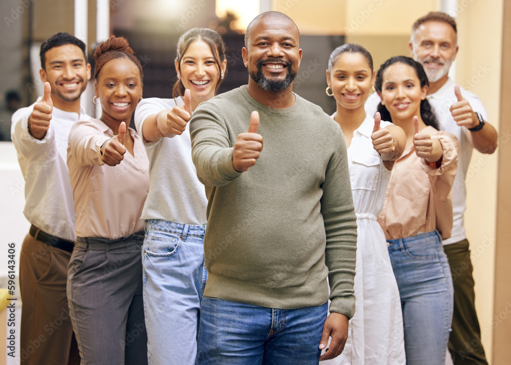 A trusted team to escort you to the next level. Portrait of a group of businesspeople showing the thumbs up in a modern office.