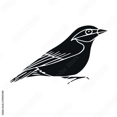 Vector hand drawn doodle sketch black nuthatch bird isolated on white background