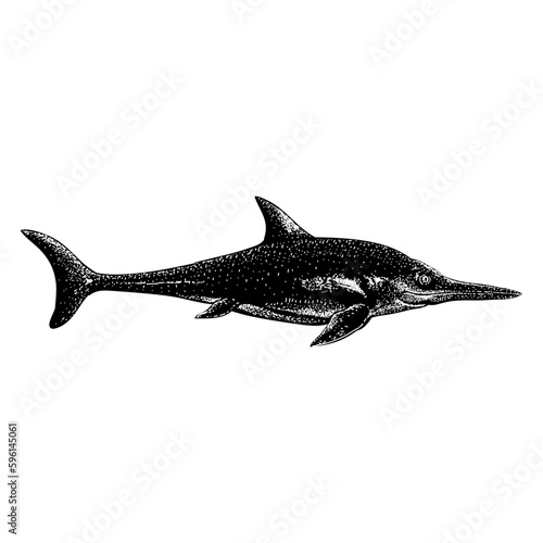 Ichthyosaurus hand drawing vector isolated on background.