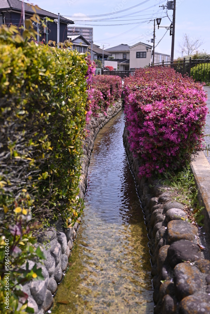 住宅街の川 住宅街の川