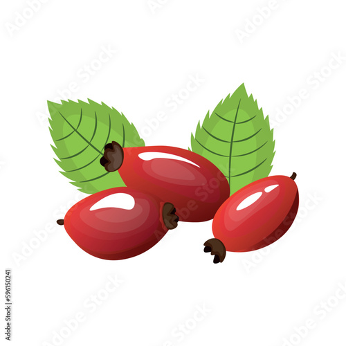 Sour rosehip berries on white background