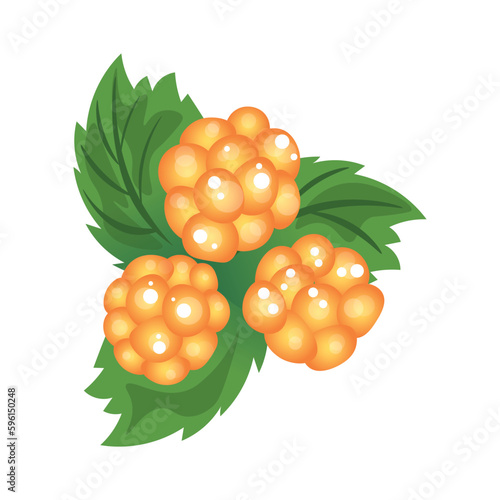 Yellow raspberries on white background