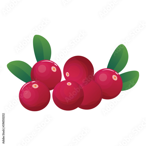 Sour cranberries on white background