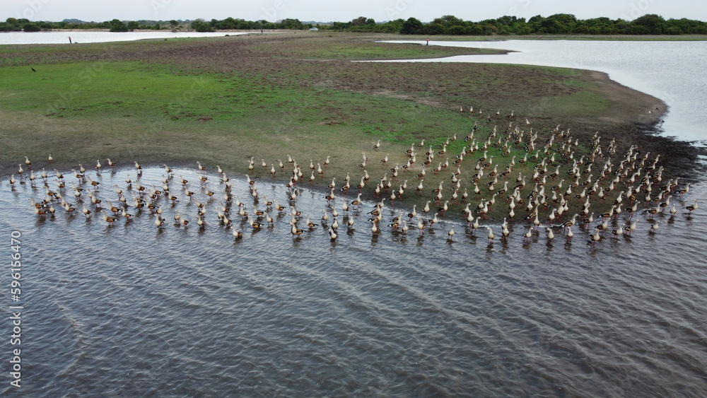 Obraz premium DCIM\100MEDIA\DJI_0429.JPG